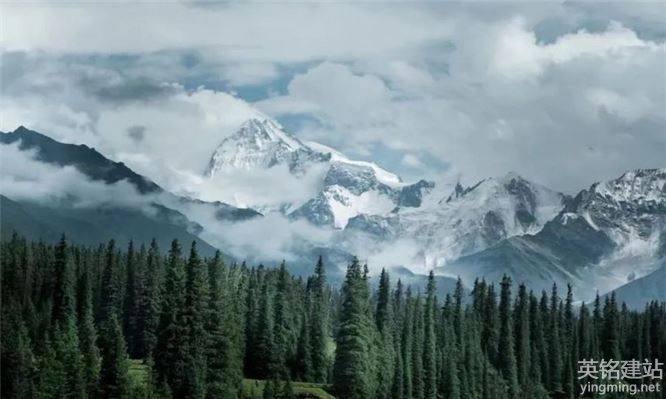 株洲企業(yè)網(wǎng)站制作要多少費用？（株洲企業(yè)網(wǎng)站制作費用的5個決定因素）